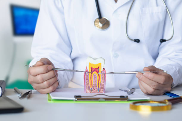 Best Emergency Wisdom Teeth Removal in Burien, WA